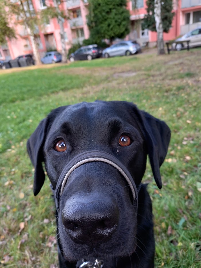 Profile picture